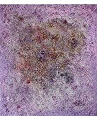 hippocampus